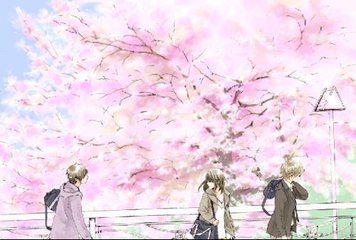 77721蜜芽入口